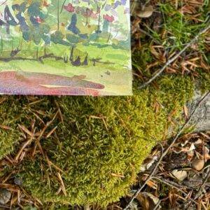 Illustrative detail from a plein air painting process, by artist Kristiina Roots not the actual artwork sold.
